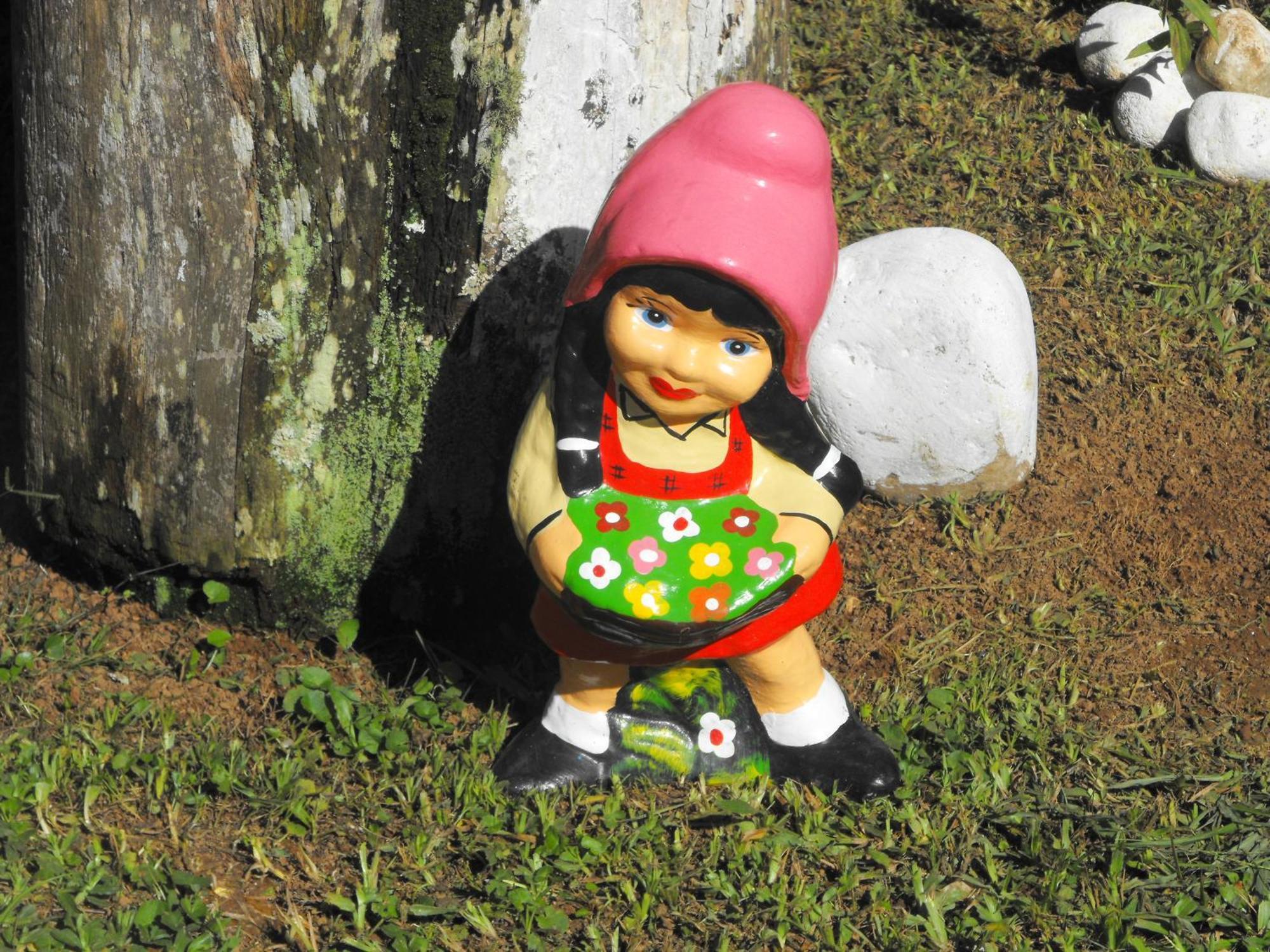 Pousada Cascata Dos Amores Teresópolis المظهر الخارجي الصورة